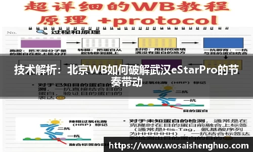 技术解析：北京WB如何破解武汉eStarPro的节奏带动