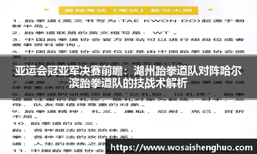 亚运会冠亚军决赛前瞻：湖州跆拳道队对阵哈尔滨跆拳道队的技战术解析